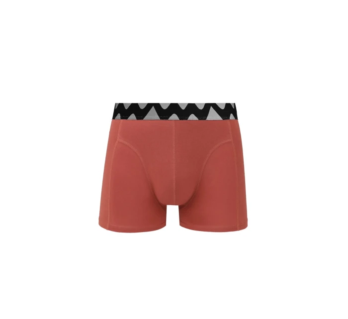 Boxerky model 21275939 - Vuch