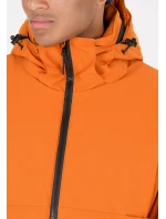 Pánská lyžařská bunda model 20681654 - Whistler