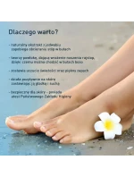 na nohy model 21235170 - Coccine