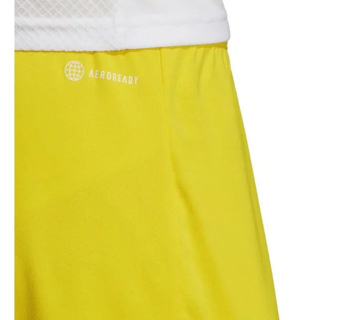 Pánské šortky Entrada 22 M IC7404 - Adidas