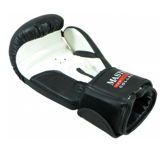 Dětské boxerské rukavice Collection Jr   model 21763826 - Masters