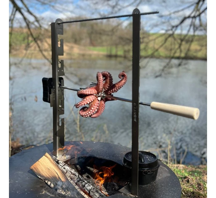 BF Rotační motor pro sadu rožně