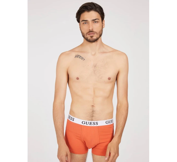 Pánské trenýrky  barevná model 16206686 - Guess