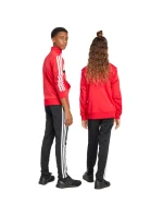 Dětská tepláková souprava adidas Seasonal Essentials Tiberio 3-Stripes Tricot červená/černá JI6214 Dětská tepláková souprava adidas Seasonal Essentials Tiberio 3-Stripes Tricot červená/černá JI6214