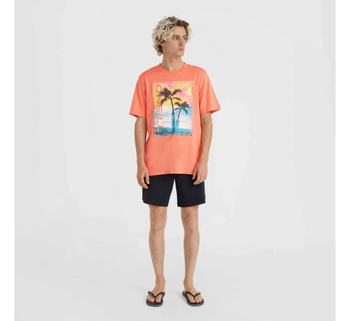 O'Neill Jack Neon TShirt M model 20119127 - ONeill