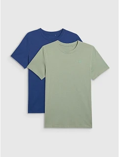 Pánské tričko (SET 2 triček) 4F 4FRMM00TTSHM2705-91S
