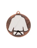 Bronzová medaile v judu/karate