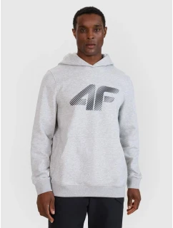 Pánská mikina s kapucí 4F 4FWMM00TSWSM1766-27M s pánskými motivy