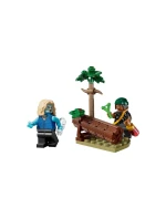 One Piece  v model 21864009 - Lego
