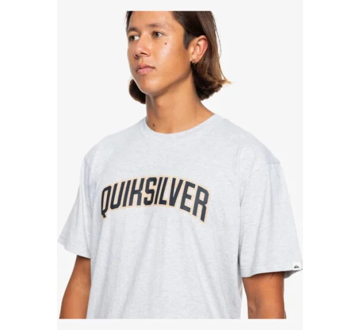 Pánské tričko model 21279773 - Roxy