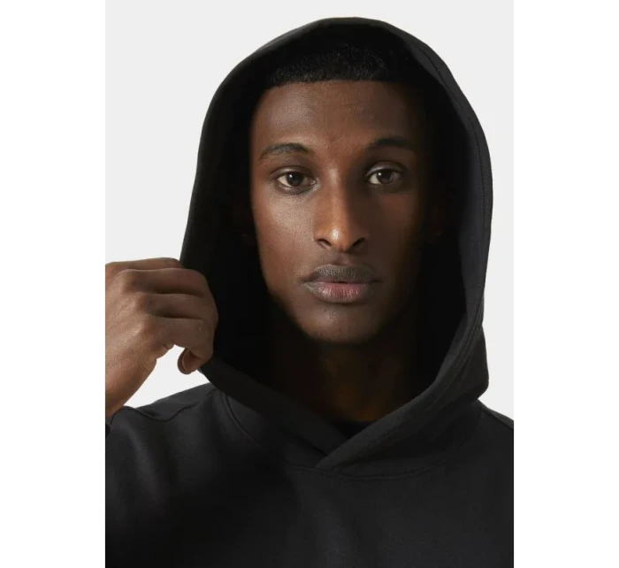 Core Graphic Sweat Hoodie M model 20246960 - Helly Hansen Core Graphic Sweat Hoodie M model 20246960 - Helly Hansen