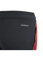 Kalhoty adidas Tiro 24 Competition Training Jr IS1638