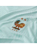 Match pánské tričko mint  pánské model 22121857 - NIKE