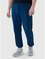 Pánské tepláky 4F Pánské tepláky 4F