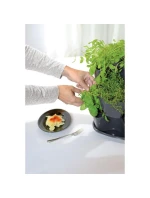 VERYKAL GARDEN CASCADE POND pro bylinky - GRAPHITE