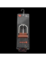 model 21352678 - Iguana