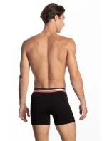 SZORTY MĘSKIE model 20720877 2pack - Lama