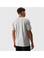 Koszulka M model 20506599 27M pánské - 4F Koszulka M model 20506599 27M pánské - 4F