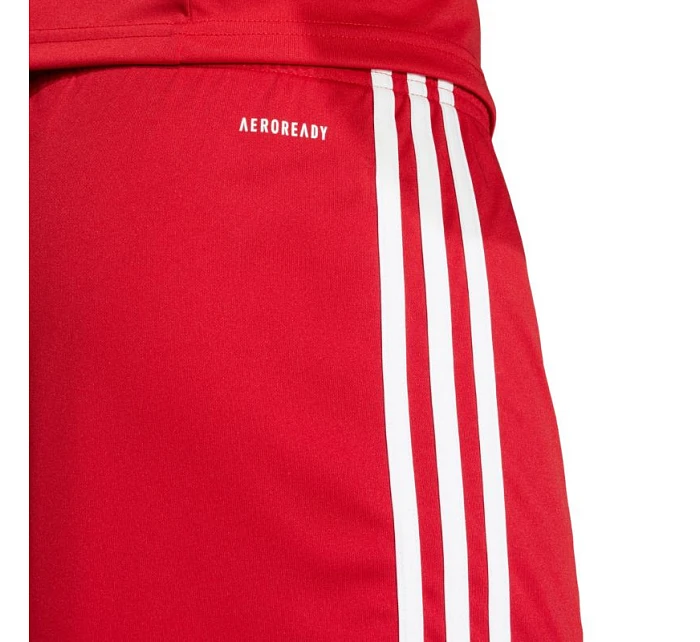 Šortky Squadra 25 M model 20912476 - ADIDAS