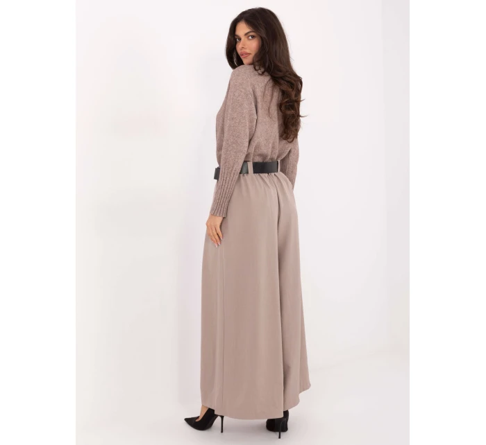 Spodnie IT SP model 21471707 ciemny bezowy - FPrice