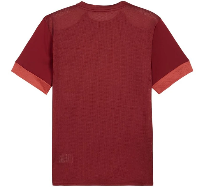 Pánský dres teamGoal Jersey bordó 09 pánské model 21392045 - Puma Pánský dres teamGoal Jersey bordó 09 pánské model 21392045 - Puma