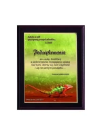 Dyplom z tworzywa sztucznego z model 21829362 Dyplom z tworzywa sztucznego z model 21829362