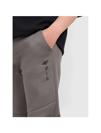Chlapecké tepláky joggers model 21736566 - 4F Chlapecké tepláky joggers model 21736566 - 4F