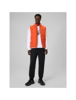 Pánská mikina bez kapuce model 21877664 - 4F