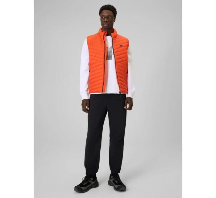 Pánská mikina bez kapuce model 21877664 - 4F