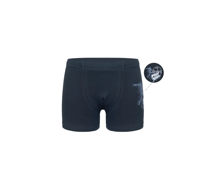 Chlapecké boxerky model 21335399 - Donella Chlapecké boxerky model 21335399 - Donella