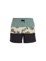 Plavecké šortky O'Neill Mix&Match Cali Block 15'' M 92800613824