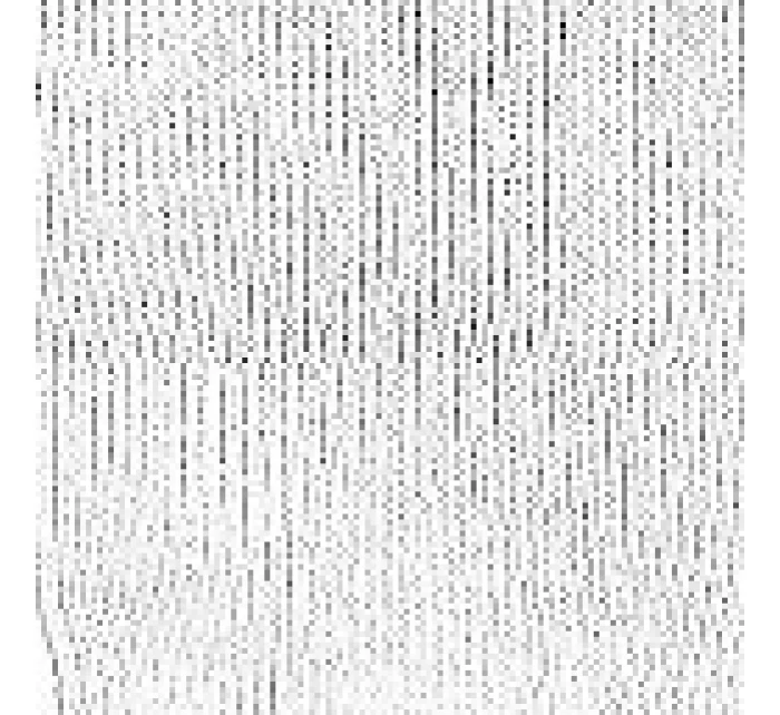 pánské model 21222565 - CERBER