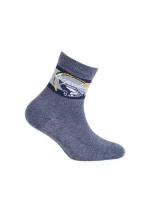 Skarpety  chłopięce wzorowane model 16127234 - Wola