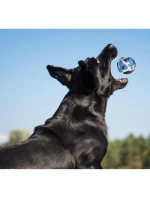 TENISOVÉ MÍČKY PRO PSY 3KS