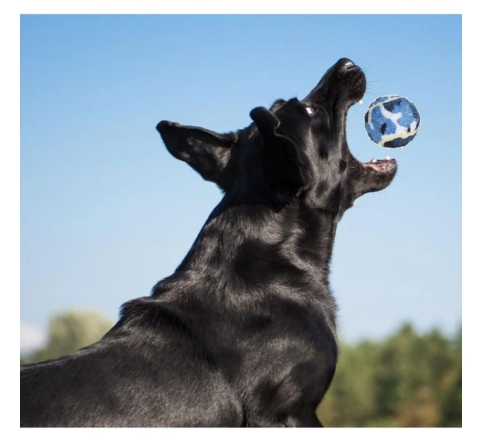 TENISOVÉ MÍČKY PRO PSY 3KS