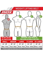 NA Z  - S model 21438527