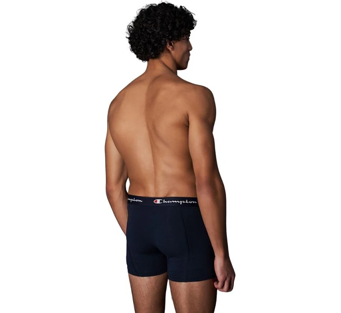 Boxerky 2 ks M model 21085572 - CHAMPION