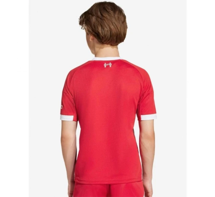 Adidas Liverpool LFC Home Jr dres JV6436