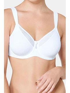 Soft model 229984 Triumph