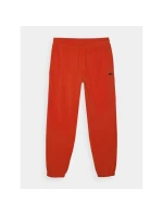 Spodnie dresowe męskie model 21460755 - 4F