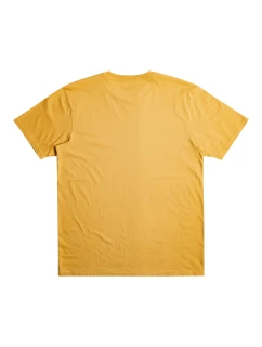 Pánské tričko Quiksilver Scholarship