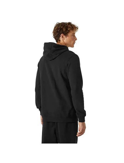 Logo Hoodie M model 19404902 - Helly Hansen Logo Hoodie M model 19404902 - Helly Hansen