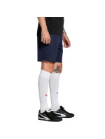 Pánské šortky Team Goal navy blue model 21767419 06 - Puma Pánské šortky Team Goal navy blue model 21767419 06 - Puma