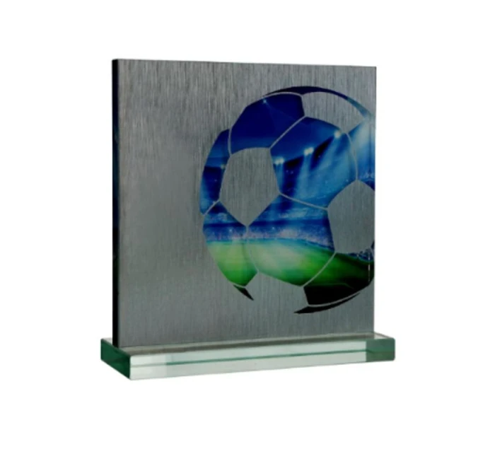 Skleněná trofej s pouzdrem