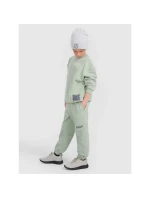 Mikina JUNIOR model 21730526 - 4F