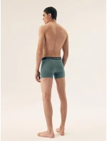 Pánské boxerky A'3 M3XL model 20878826 - Henderson Pánské boxerky A'3 M3XL model 20878826 - Henderson