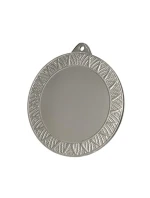 Celková stříbrná medaile s místem pro vložení