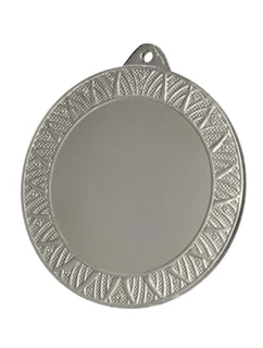 Celková stříbrná medaile s místem pro vložení