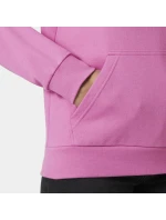 Core Graphic Hoodie W model 21024835 089 - Helly Hansen Core Graphic Hoodie W model 21024835 089 - Helly Hansen