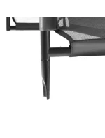 Legend fotbalový model 21148337 - Salta